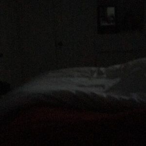 Meet your Posher, Ariana